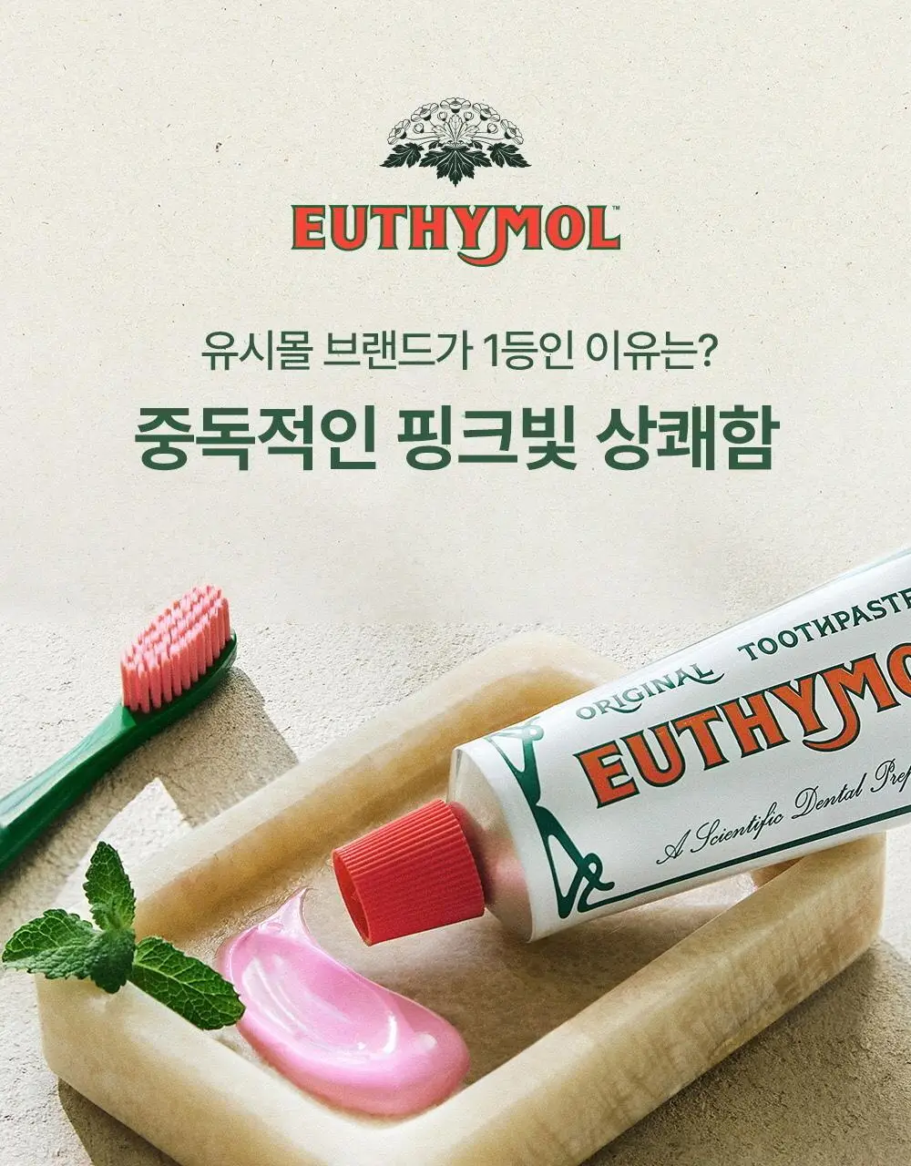 [유시몰X헌터] 장화스탠더+ 오리지널 구취치약 106g*2 상세페이지 15